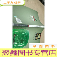 正 九成新翡翠鉴赏与评价