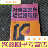 正 九成新社会主义市场经济理论 政治经济学 上册