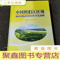 正 九成新中国图们江区域:城市国际化经济合作开发战略