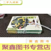 正 九成新菊花的刺 上下