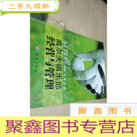 正 九成新高尔夫俱乐部经营与管理