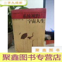 正 九成新系统视野与宇宙人生
