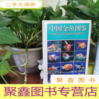 正 九成新中国金鱼图鉴:[中英文本]