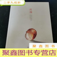 正 九成新红图 中国宝玉石品牌丛书 黄文中南红玛瑙创作集