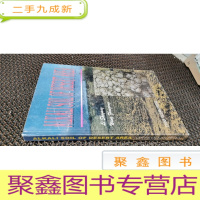 正 九成新ALKALI SOIL OF DESERT AREA