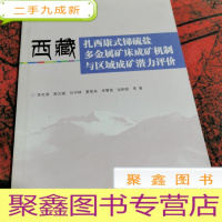 正 九成新西藏扎西康式锑硫盐多金属矿床成矿机制与区域成矿潜力评价