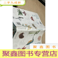 正 九成新深圳自然笔记