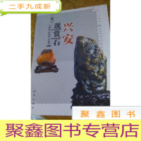 正 九成新兴安观赏石