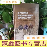 正 九成新考古发掘现场脆弱文物安全提取与临时固型技术研究