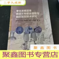 正 九成新考古发掘现场脆弱文物安全提取与临时固型技术研究