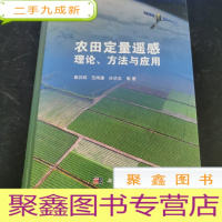正 九成新农田定量遥感理论、方法与应用