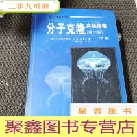 正 九成新分子克隆实验指南(第三版)(下册)