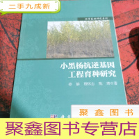 正 九成新小黑杨抗逆基因工程育种研究