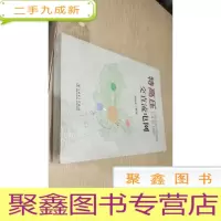 正 九成新特高压交直流电网