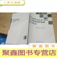 正 九成新中分辨率SAR土地资源调查监测应用技术