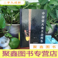 正 九成新中国萤火虫生态图鉴