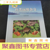 正 九成新鱼类远缘杂交