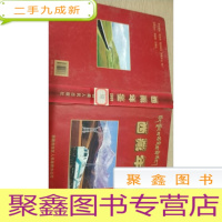 正 九成新西藏年鉴. 2009