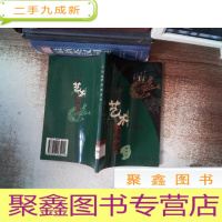 正 九成新中国艺术经典全书(西洋画)
