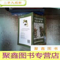 正 九成新青蛙和蟾蜍.快乐年年