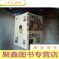 正 九成新在阳台上种菜 书脊有破损