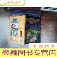 正 九成新向日葵失踪之谜