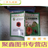 正 九成新奇异的植物