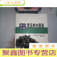 正 九成新雷州半岛常见树木图鉴