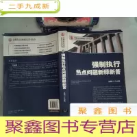 正 九成新民事执行法律理论与实务丛书:强制执行热点问题新释新答