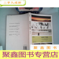 正 九成新纵横天下影像