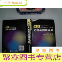 正 九成新英汉光源与照明词典 封面有磨埙