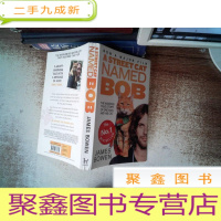 正 九成新流浪猫鲍勃 A Street Cat Named Bob