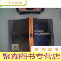 正 九成新审计取证与审计工作底稿编制