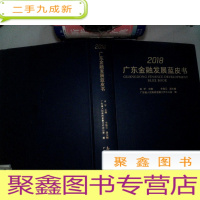 正 九成新2018广东金融发展蓝皮书