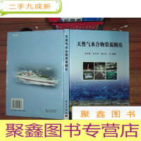 正 九成新天然气水合物资源概论