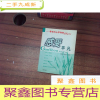 正 九成新感受平凡