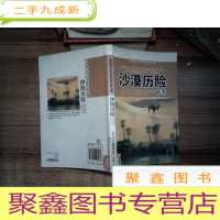 正 九成新沙漠历险故事