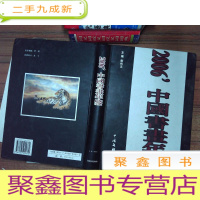 正 九成新中国画画年鉴2006