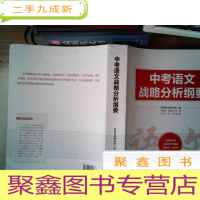 正 九成新中考语文战略分析纲要
