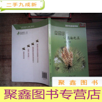 正 九成新松花粉是花粉之王