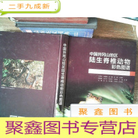正 九成新中国井冈山地区陆生脊椎动物彩色图谱