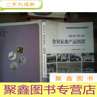 正 九成新深圳市场 食用家禽产品图谱