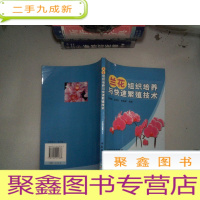 正 九成新兰花组织培养与快速繁殖技术