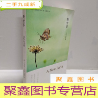 正 九成新新世界:灵性的觉醒