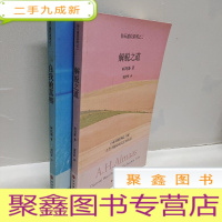 正 九成新解脱之道 自我的真相 2册