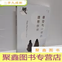 正 九成新鲤·像空气一样的理想伙伴