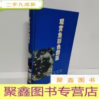 正 九成新观赏鱼彩色图鉴