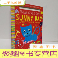 正 九成新what shall i do sunny day