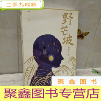 正 九成新野芒坡