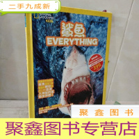 正 九成新鲨鱼 按图发货